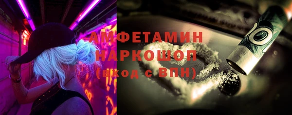 прущие грибы Бронницы