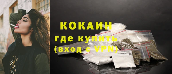 прущие грибы Бронницы