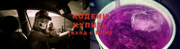 прущие грибы Бронницы