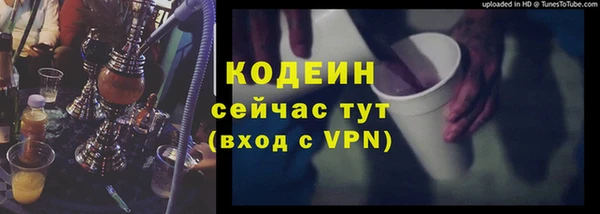 прущие грибы Бронницы