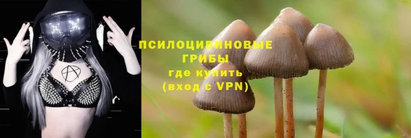 СК Бородино