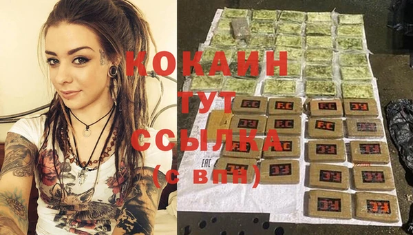 прущие грибы Бронницы