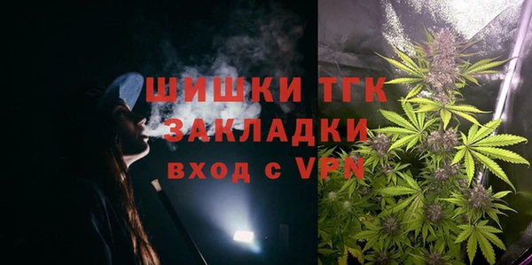 СК Бородино