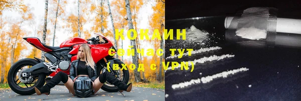СК Бородино
