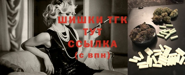 прущие грибы Бронницы
