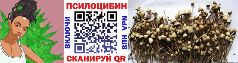 кракен онион  Ставрополь  Псилоцибиновые грибы мухоморы 